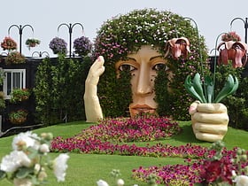 dubai miracle garden dubaj