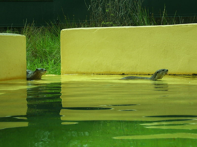 Taronga Western Plains Zoo