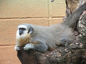Municipal Zoological Park Quinzinho de Barros