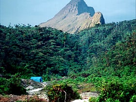 parque nacional del pico de la neblina