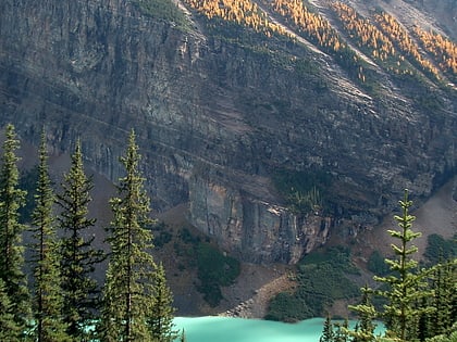 alberta mountain forests jasper nationalpark