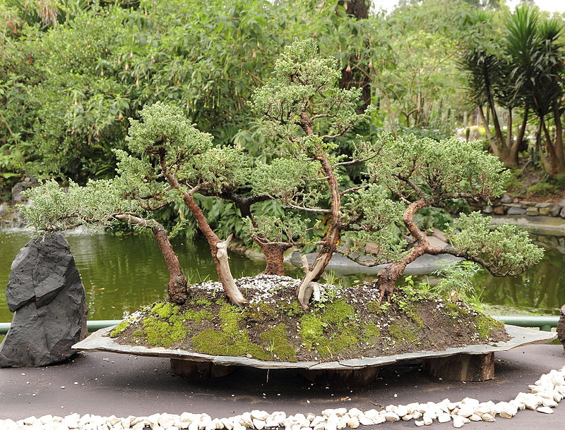 Botanical Gardens