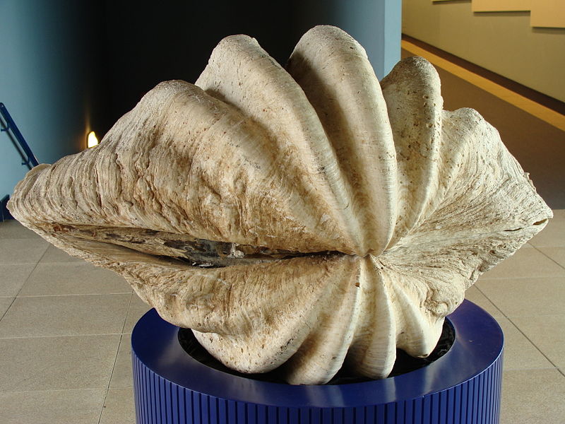 Aquarium Finisterrae