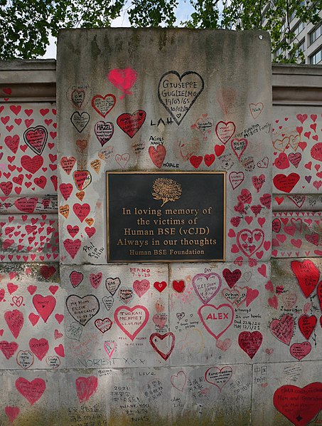 National Covid Memorial Wall