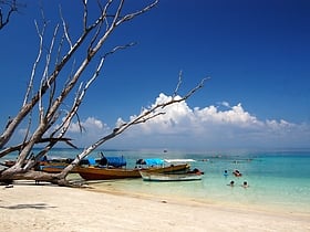 Elephant Beach