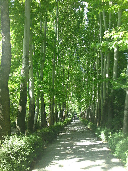 Dschamschidiye-Park