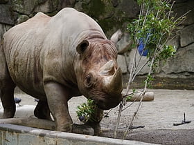 ueno zoo tokyo