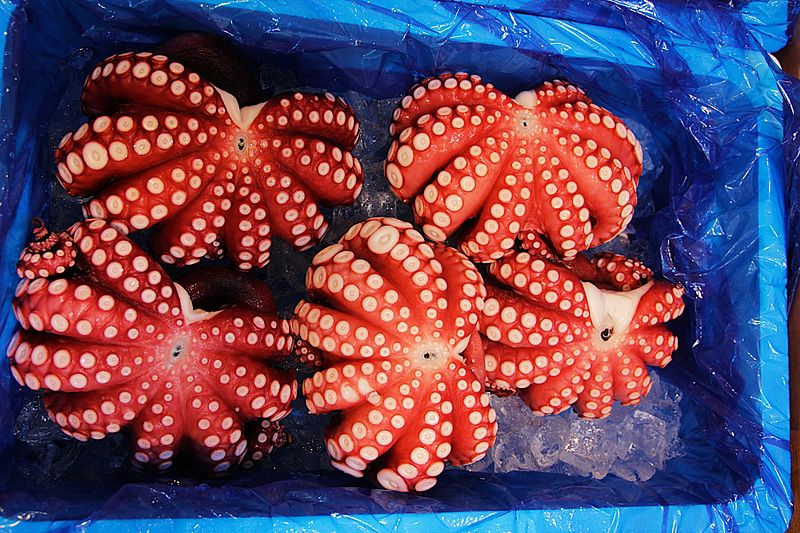 Targ rybny Tsukiji