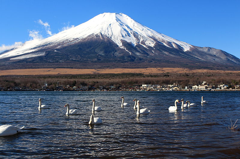 Lac Yamanaka, Fujigoko