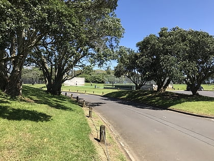 colin maiden park auckland