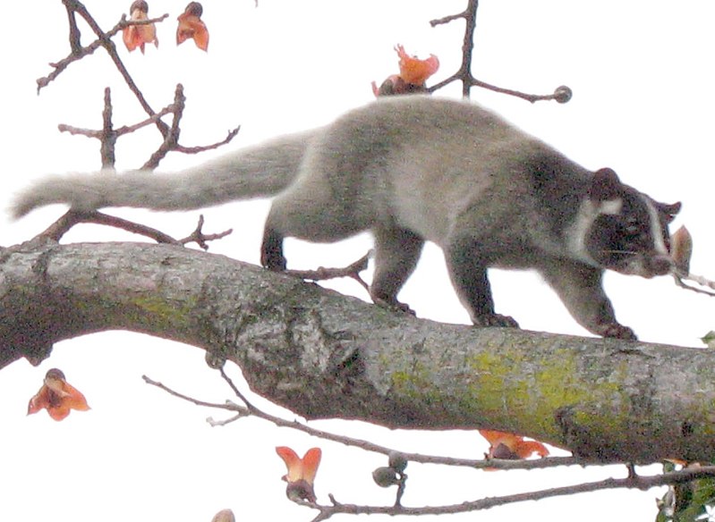 Khun Khan National Park