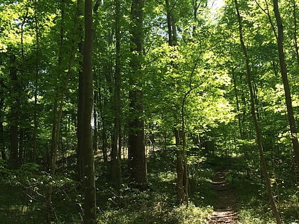 california woods nature preserve cincinnati